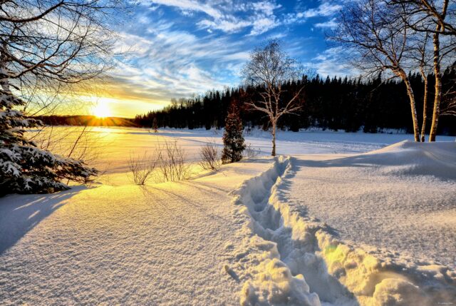 Winter landscape, sunset