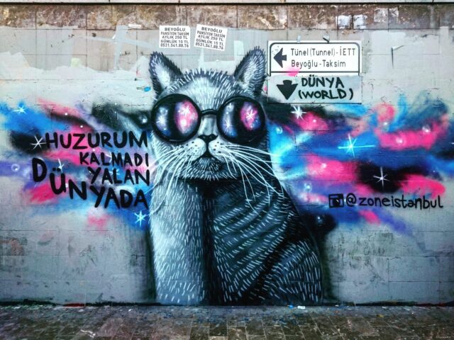 A Graffiti in Karaköy – Cat