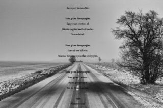 Lavinya / Lavinia Poetry