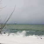 Black Sea Snowy