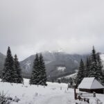 Muhteşem Kar, Kış, Orman Ve Dağ Manzarası