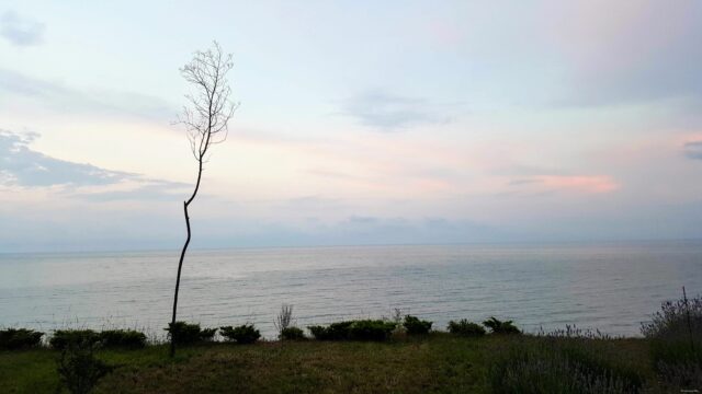 Black Sea View in the Evening