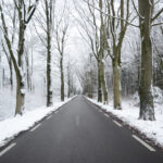 Picture of a road in a snowy, foggy winter weather