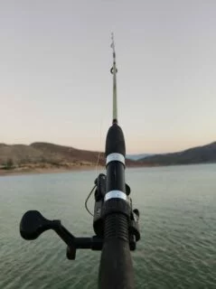 Fotoğraf: Olta İle Balık Tutma