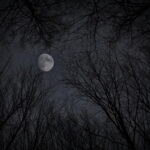 Full Moon, Moonlight Picture