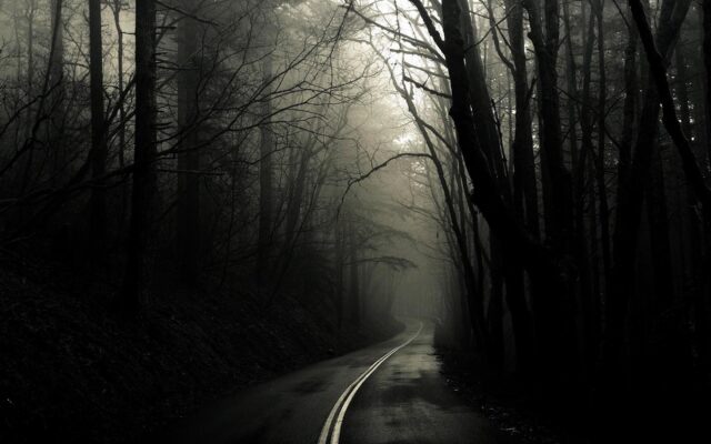 Dark, Misty, Forest Road (4k)