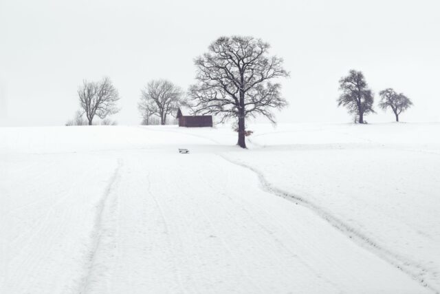 Winter Landscape Photo