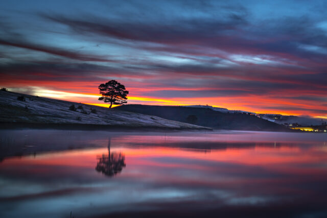 Reflection of the Tree on Water : Landscape