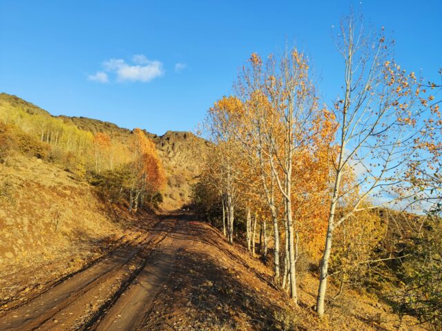A Mountain Trail in Autumn