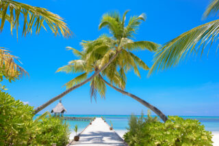 Scenic Beach Resort, Maldives