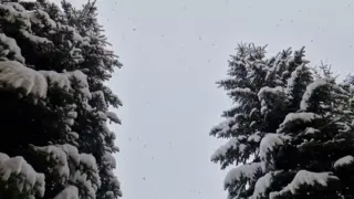 Fotoğraf: Ağır Çekim Kar Yağışı Videosu